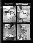 Big Farm Edition -- Home Demonstration (4 Negatives) (April 28, 1954) [Sleeve 106, Folder d, Box 3]